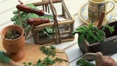 Folk remedies for increasing power