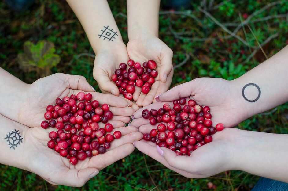 Cranberry for power